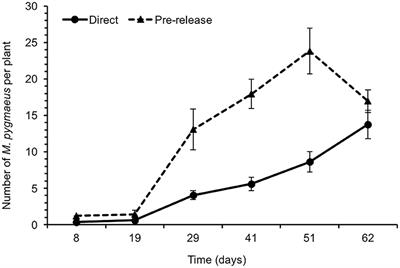 How Safe Is It to Rely on Macrolophus pygmaeus (Hemiptera: Miridae) as a Biocontrol Agent in Tomato Crops?